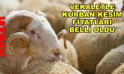 VEKALETLE KURBAN KESİM FİYATLARI BELLİ OLDU