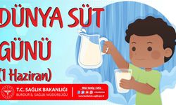 1 Haziran Dünya Süt Günü