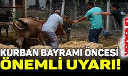 Kaçan kurbanlığı uzun süre kovalayıp "kurban" etmeyin