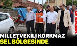 Milletvekili Korkmaz, sel bölgesinde