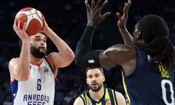 TBF Disiplin Kurulu, Anadolu Efes ile Fenerbahçe Beko'ya para cezası verdi