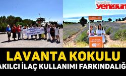 LAVANTA KOKULU AKILCI İLAÇ KULLANIMI FARKINDALIĞI