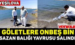 GÖLETLERE 15 BİN SAZAN BALIĞI YAVRUSU SALINDI