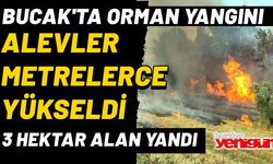 Bucak'ta Orman Yangını; 3 Hektarlık Alan Yandı!