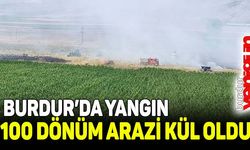 Burdur’da çıkan yangında 100 dönümlük tarım arazisi kül oldu