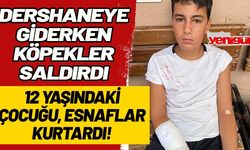 Dershaneye giderken köpekler saldırdı! 12 yaşındaki çocuğu esnaflar kurtardı
