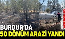 Burdur’da 100 adet meyve ağacı ve 50 dönüm arazi yandı