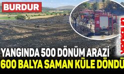 Burdur'da yangın: 500 dönüm arazi, 600 balya saman kül oldu