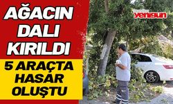 Asırlık çınar ağacının kırılan dalı 5 araçta hasara yol açtı