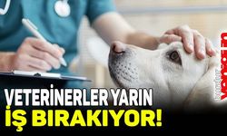 Veterinerler 6 Ağustos'ta iş bırakıyor