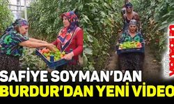 Safiye Soyman, Burdur'dan yeni video paylaştı (bu kez de serada domates, biber topladı)