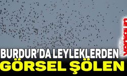 Burdur'da leyleklerden görsel şölen