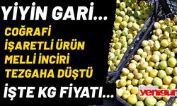 Coğrafi İşaretli Melli İnciri Tezgaha Düştü...