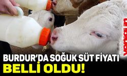 Burdur'da soğuk süt fiyatı belli oldu