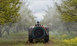 Pestisitlerde insan ve hayvan sağlığı açısından riskli 6 madde kullanımı daha yasaklandı