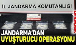 Jandarmadan uyuşturucu operasyonu: 1 gözaltı