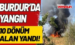 Burdur'da yangın! 10 dönüm alan yandı