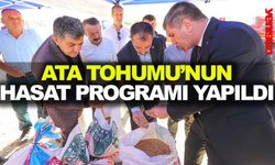 ATA TOHUMU’NUN HASAT PROGRAMI YAPILDI