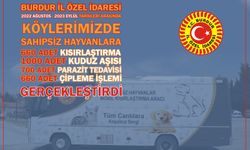 BURDUR İL ÖZEL İDARESİ ‘KISIRLAŞTIRMA VE AŞILAMA’ ÇALIŞMALARINA DEVAM EDİYOR