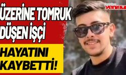 Üzerine tomruk düşen işçi hayatını kaybetti