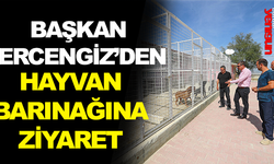 Başkan Ercengiz’den Hayvan Barınağına ziyaret