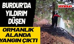 Burdur'da yıldırım düşen ormanlık alanda yangın çıktı!