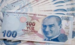 Bireysel Emeklilik Sistemi'nde kısmen ödeme dönemi