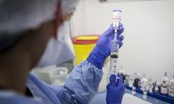 Lenfomada düzenli ve yeterli dozda ilaç tedavisi yaşam süresini uzatıyor