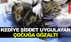 KEDİYE ŞİDDET UYGULAYAN ÇOCUĞA GÖZALTI