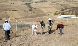 Ankara Savaşı'ndan kalma toplu mezar keşfedildi