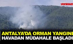 ANTALYA'DA ORMAN YANGINI!