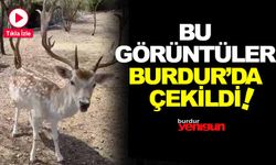 ALAGEYİKLER BURDUR'DA GÖRÜNTÜLENDİ