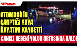 Otomobilin çarptığı yaya hayatını kaybetti