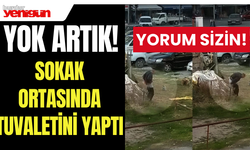 Isparta'da sokak ortasında büyük tuvaletini yaptı