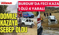 Burdur'da yola fırlayan domuza çarpan araç takla atarak şarampole uçtu: 1 ölü, 4 yaralı