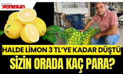 Antalya’da halde limon 3 TL’ye kadar düştü