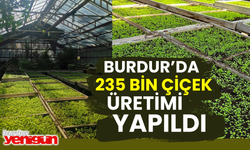 Burdur'da 235 Bin Çiçek Üretimi Yapıldı