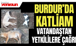 Burdur'da Hayvan Katliamı! Vatandaştan Yetkililere Çağrı