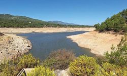 Korkunç görüntü... Bodrum’a su sağlayan barajlarda su bitti