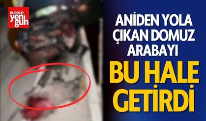 Aniden Yola Çıkan Domuz Arabayı Bu Hale Getirdi