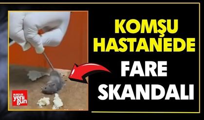 Komşu Hastanede Fare Skandalı