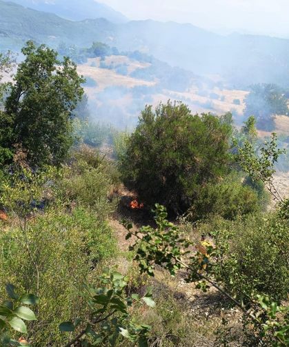 Antalya'da ormanı tehdit eden yangın kontrol altına alındı