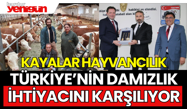Kayalar Hayvancılık, Türkiye'nin damızlık ihtiyacını karşılıyor