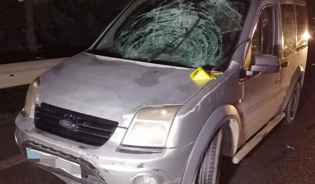 Kara yolunda tartışan iki kişi, araçların çarpması sonucu öldü