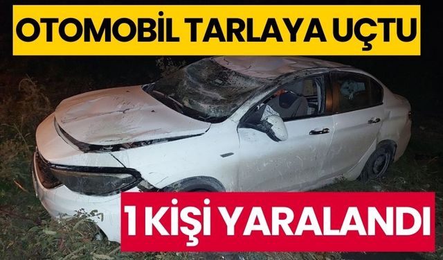 Otomobil tarlaya uçtu:1 yaralı