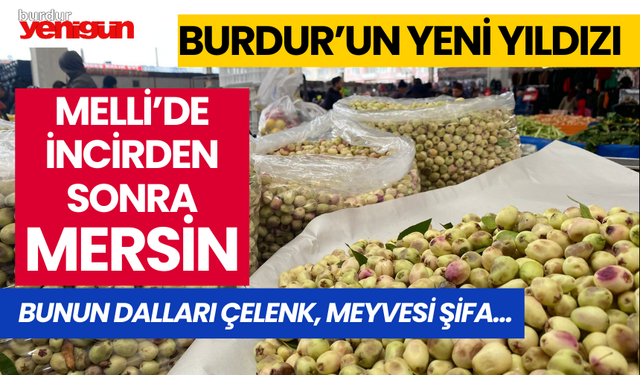 Burdur'ın Yeni Yıldızı: Melli'de İncirden Sonra Mersin...