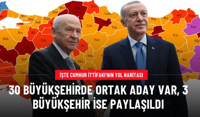 AK Parti ve MHP'nin yerel seçimlerde 3 il için yol haritası belli oldu