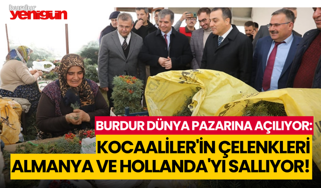 Burdur Dünya Pazarına Açılıyor: Kocaaliler'in Çelenkleri Almanya ve Hollanda'yı Sallıyor!