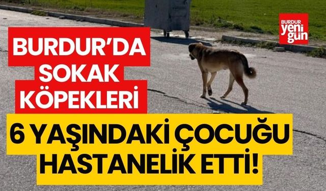 Burdur'da sokak köpeklerinin saldırdığı çocuk hastanelik oldu