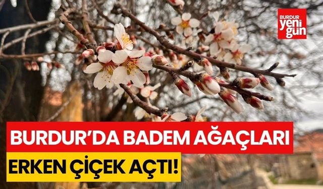 Burdur'da badem ağaçları erken çiçek açtı